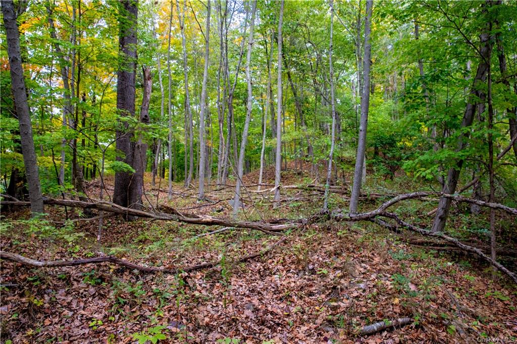 Land Old Post  Westchester, NY 10506, MLS-H6223070-15