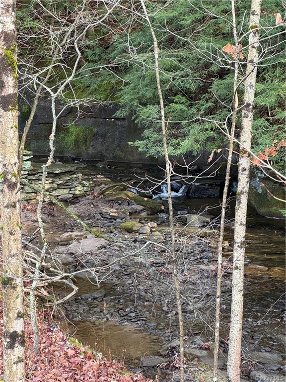 Land Tbd Clark Road Tr 21  Sullivan, NY 12733, MLS-H6280144-15