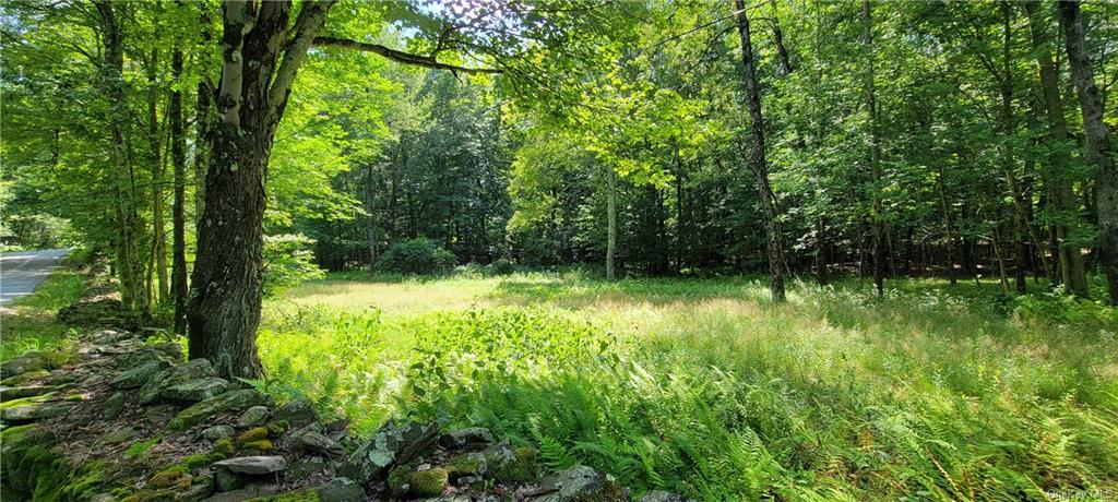 Land Westervelt  Sullivan, NY 12726, MLS-H6264186-15