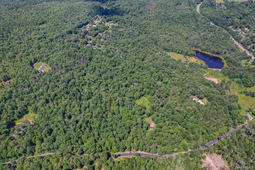 Land N/s French Clearing  Sullivan, NY 12777, MLS-H6195187-15