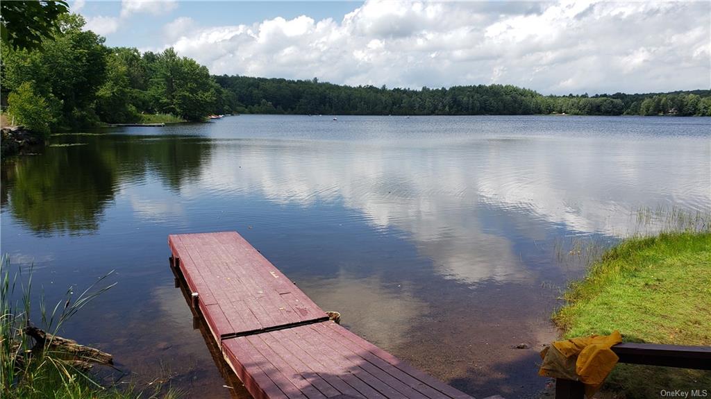 Land Lakeside  Sullivan, NY 12759, MLS-H6234206-15