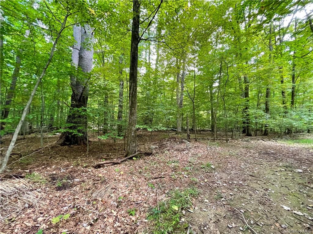 Land Ulsterville  Ulster, NY 12566, MLS-H6144266-15