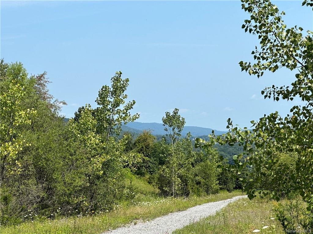 Land Truncali  Ulster, NY 12542, MLS-H6263292-15