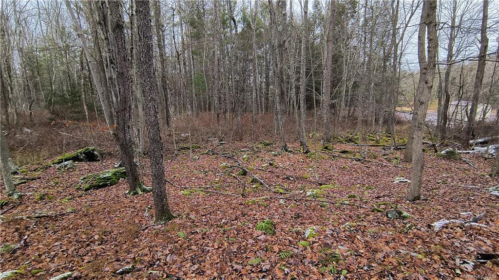 Land New Turnpike A  Sullivan, NY 12726, MLS-H6281364-15