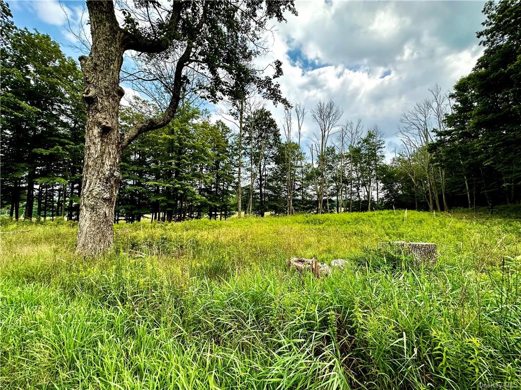 Land Prince  Sullivan, NY 12720, MLS-H6260442-15