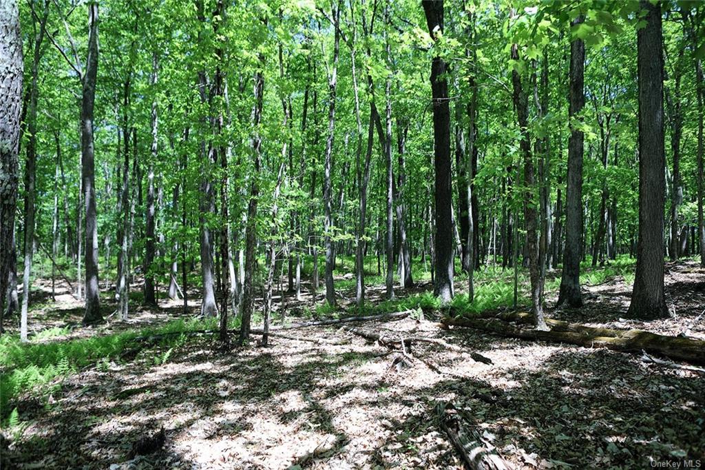 Land Barbara  Sullivan, NY 12723, MLS-H6280499-15