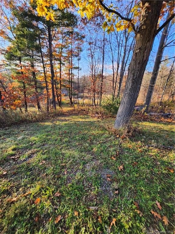 Land Smith  Out Of Area, NY 12469, MLS-H6278519-15