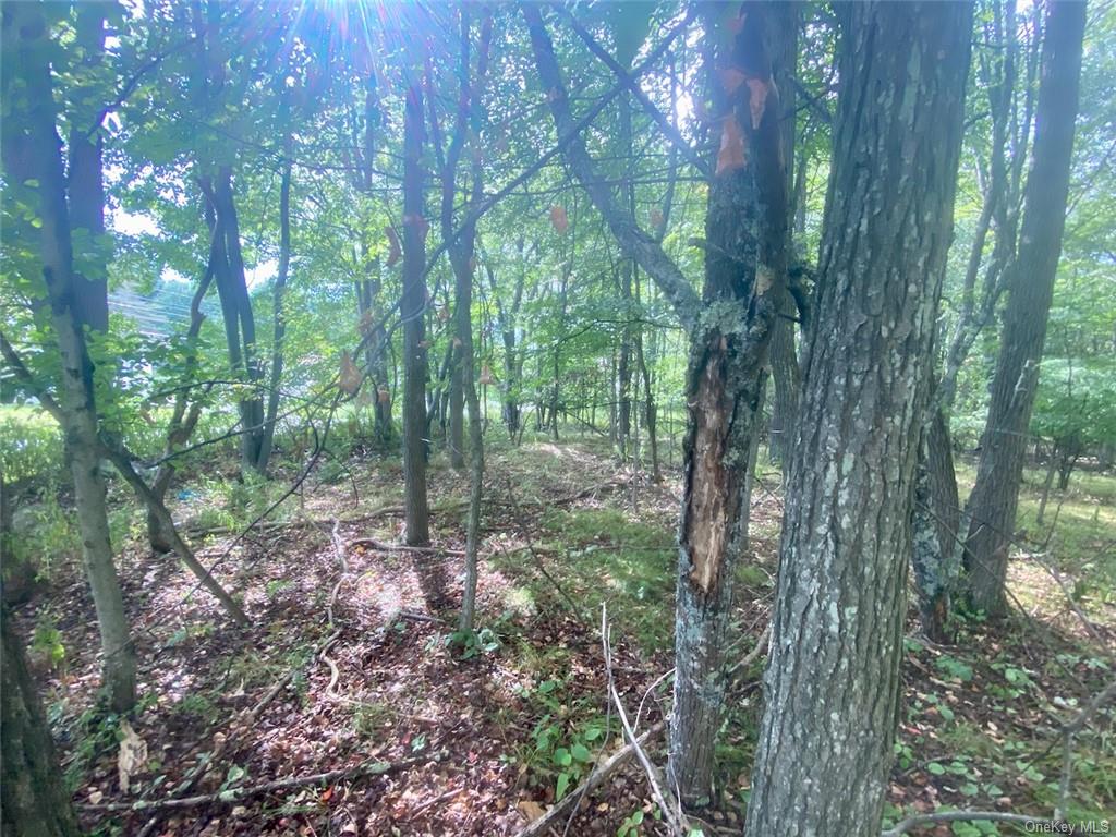 Land Broadway  Sullivan, NY 12701, MLS-H6239591-15