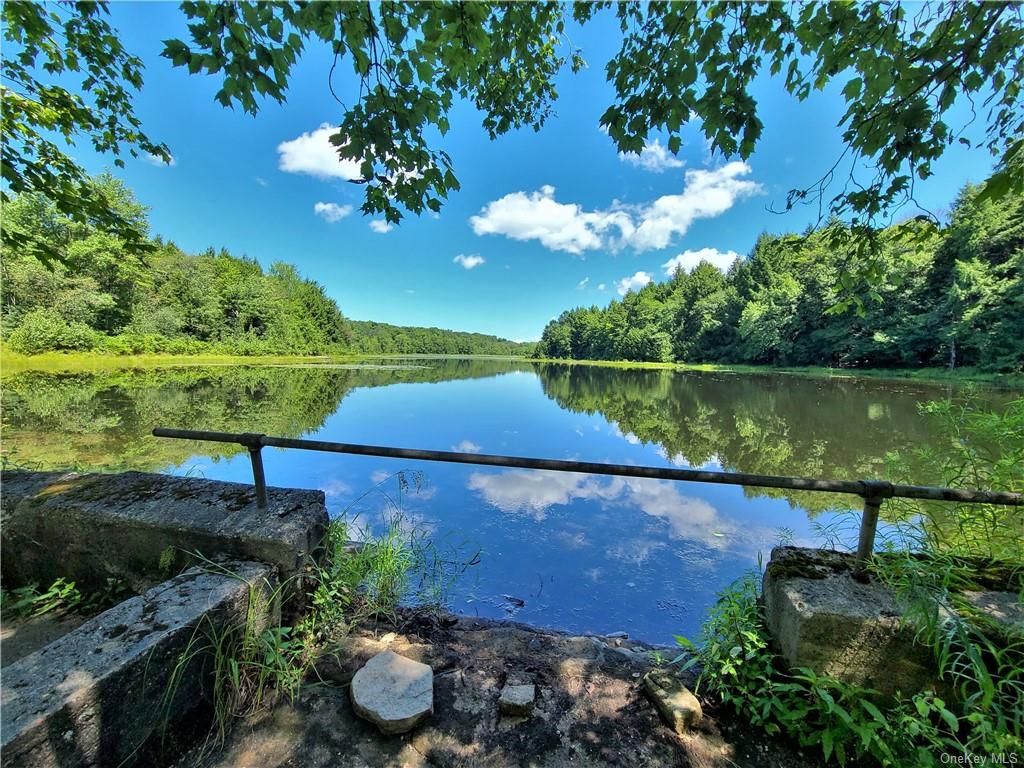 Land Beaver Lake  Sullivan, NY 12758, MLS-H6232604-15