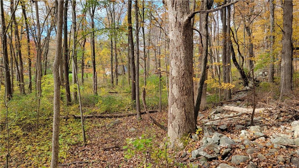 Land Western  Orange, NY 12586, MLS-H6275607-15