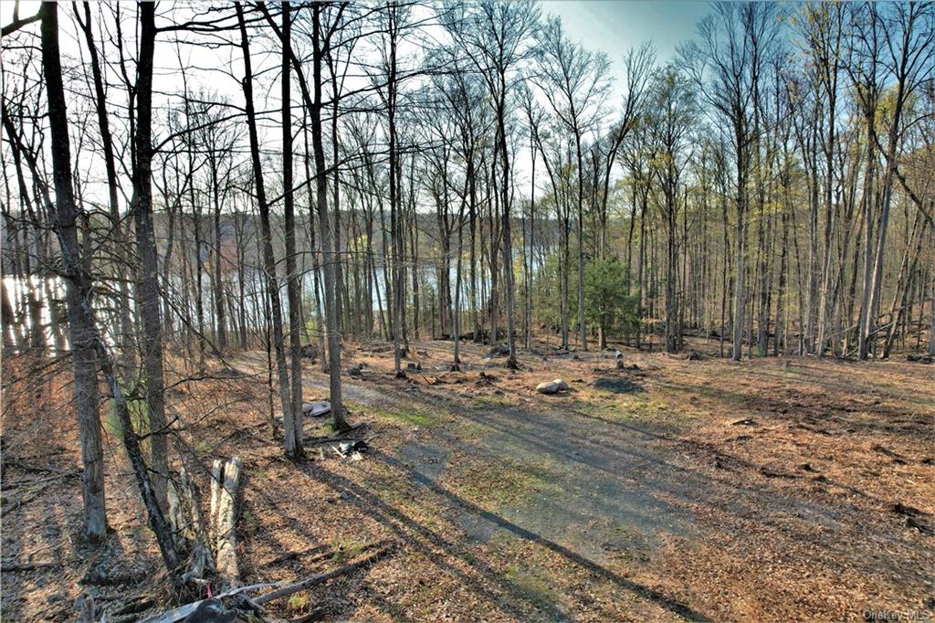 Land Plank  Sullivan, NY 12777, MLS-H6266634-15