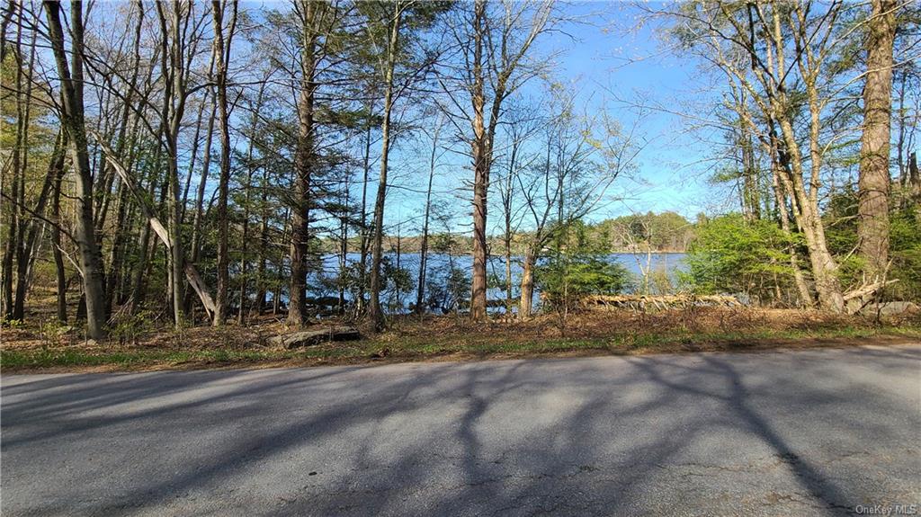 Land Lakeshore  Sullivan, NY 12778, MLS-H6143640-15