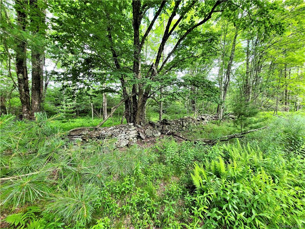 Land Mitchell  Sullivan, NY 12786, MLS-H6243649-15