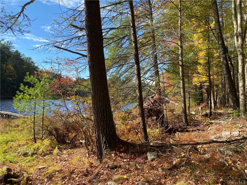 Land Stag Forest  Sullivan, NY 12777, MLS-H6268672-15