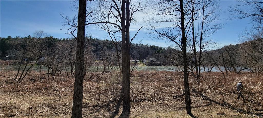 Land Cochecton  Sullivan, NY 12726, MLS-H6177700-15