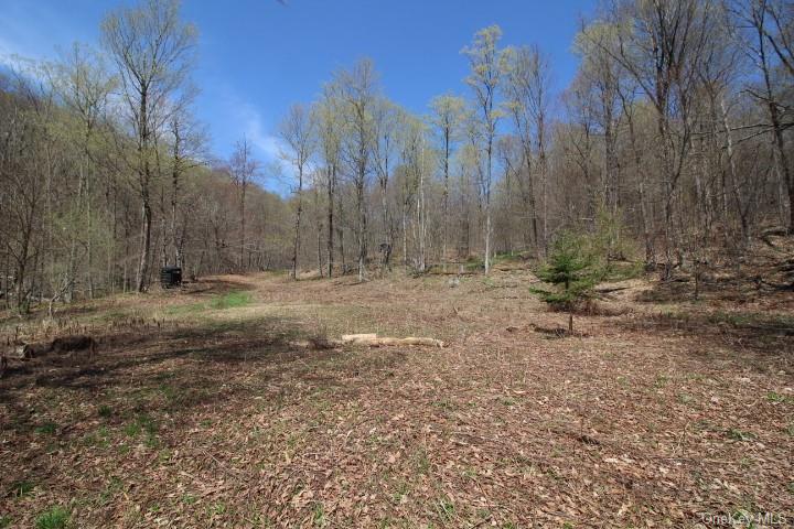 Land Cattail  Sullivan, NY 12758, MLS-H6244708-15