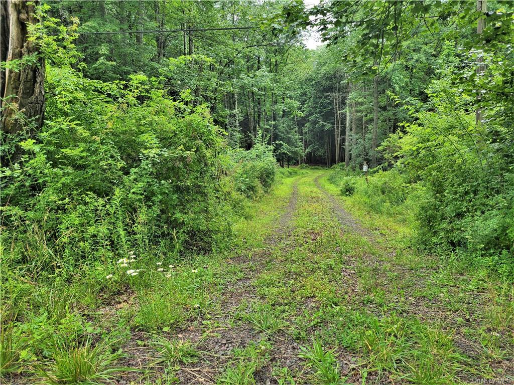 Land Goldsmith  Sullivan, NY 12783, MLS-H6258729-15