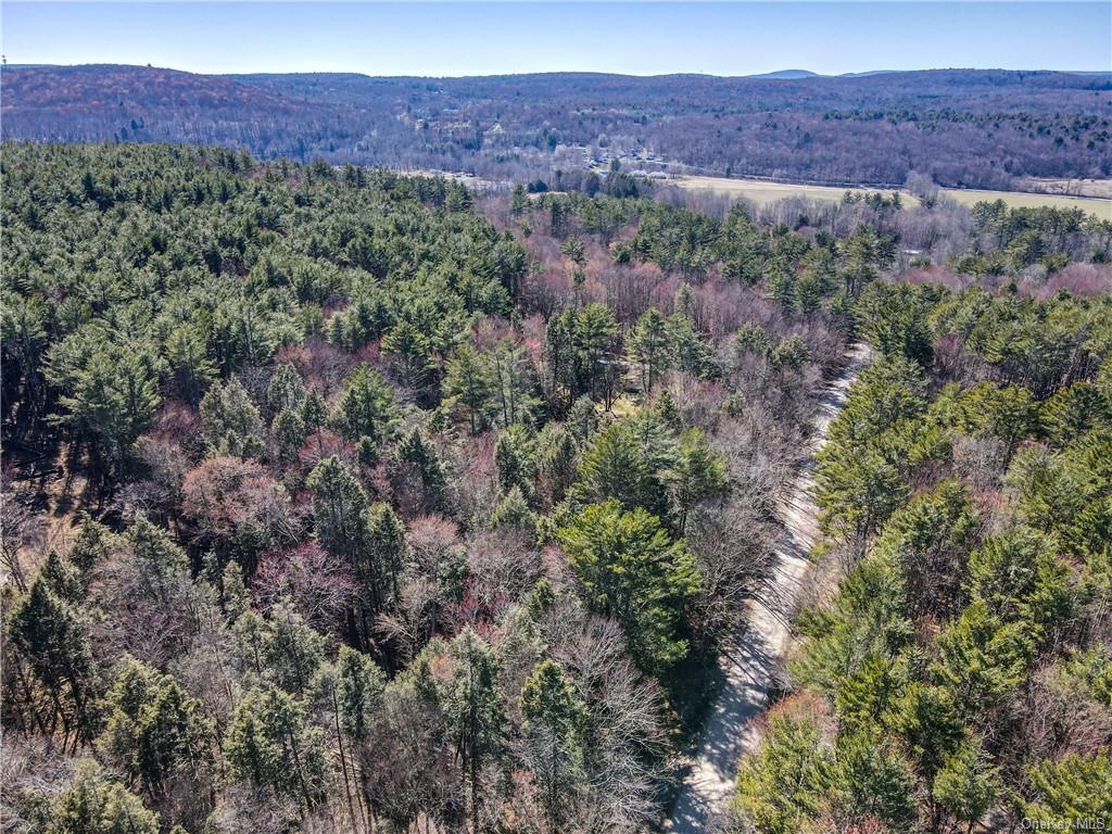 Land Beaver Lane Tr 166  Sullivan, NY 12733, MLS-H6242756-15