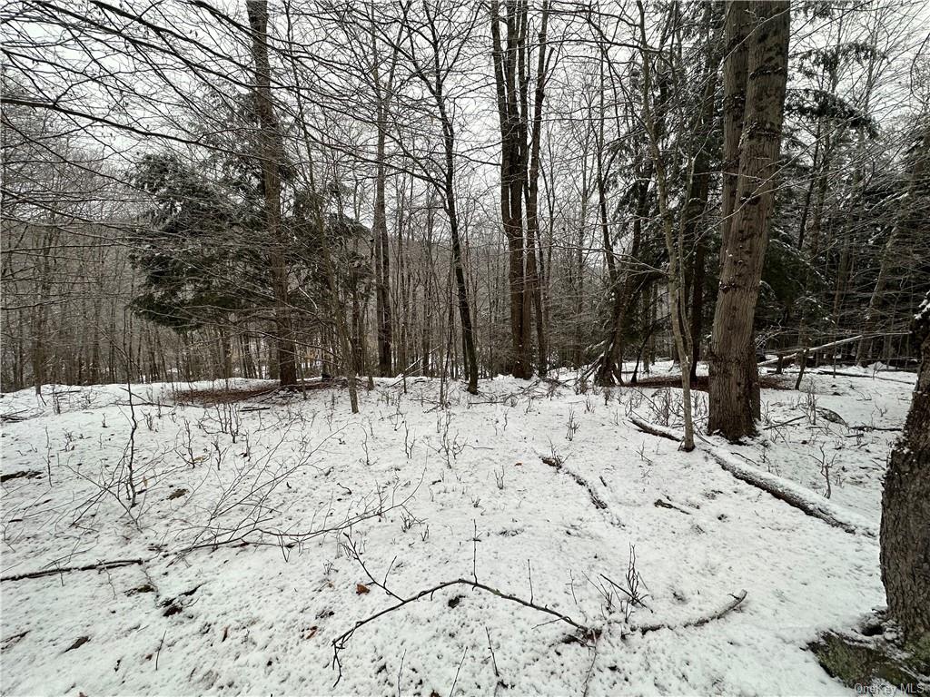 Land Grooville  Sullivan, NY 12758, MLS-H6233770-15