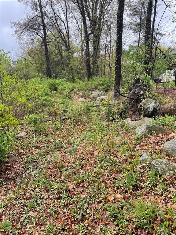 Land Front  Westchester, NY 10598, MLS-H6244777-15