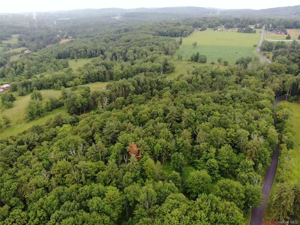 Land Big Hollow  Sullivan, NY 12765, MLS-H6256806-15