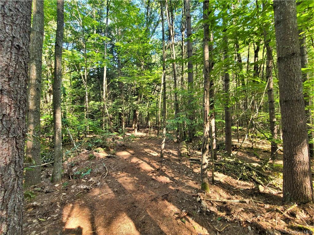 Land Woodstone  Sullivan, NY 12786, MLS-H6267818-15