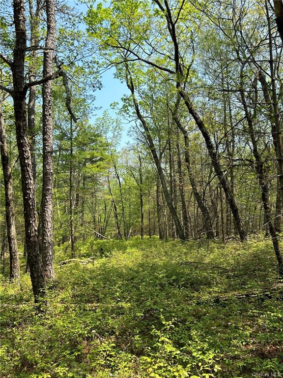 Land Clendening  Ulster, NY 12484, MLS-H6259859-15