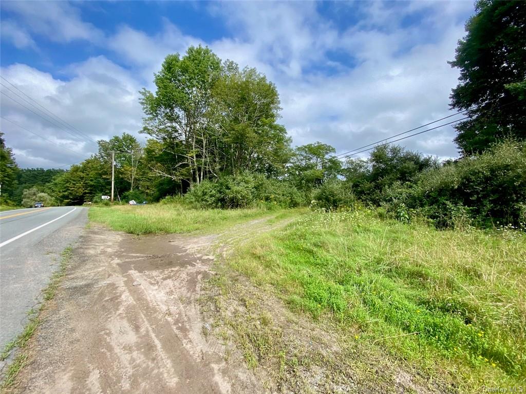 Land Moscoe  Sullivan, NY 12720, MLS-H6241893-15