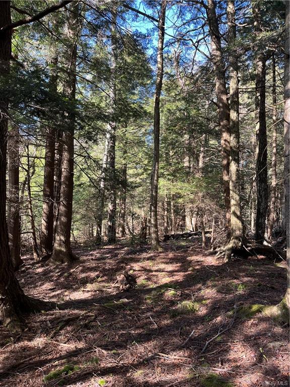 Land Eagles Ridge  Sullivan, NY 12768, MLS-H6271898-15