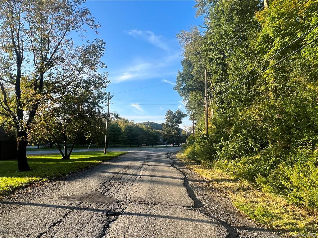 Land Old Route 22  Dutchess, NY 12564, MLS-H6270937-15