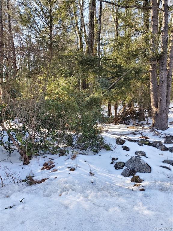 Land Red Star  Ulster, NY 12435, MLS-H6236955-15