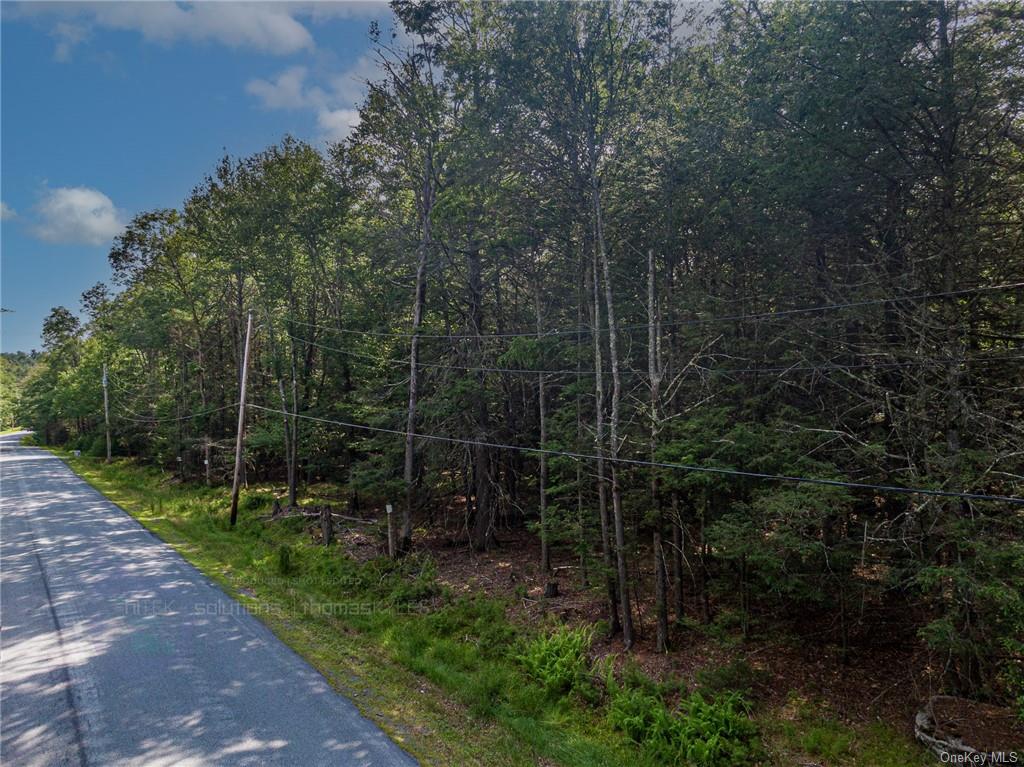 Land Barker/rowley  Sullivan, NY 12528, MLS-H6257962-15