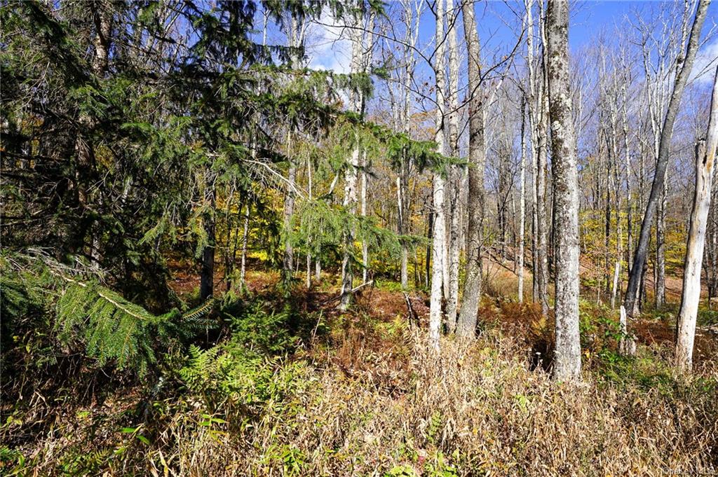 Land Amber Lake  Sullivan, NY 12758, MLS-H6150969-15