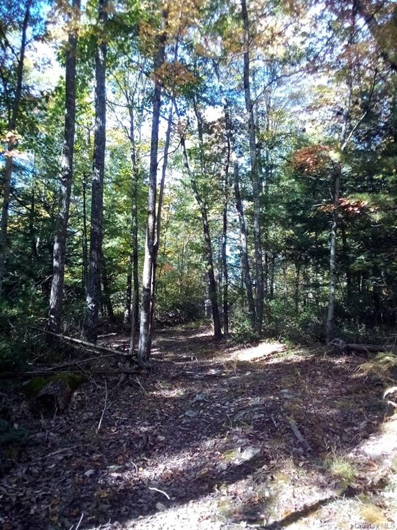 Land Mount Vernon  Sullivan, NY 12790, MLS-H6215980-15