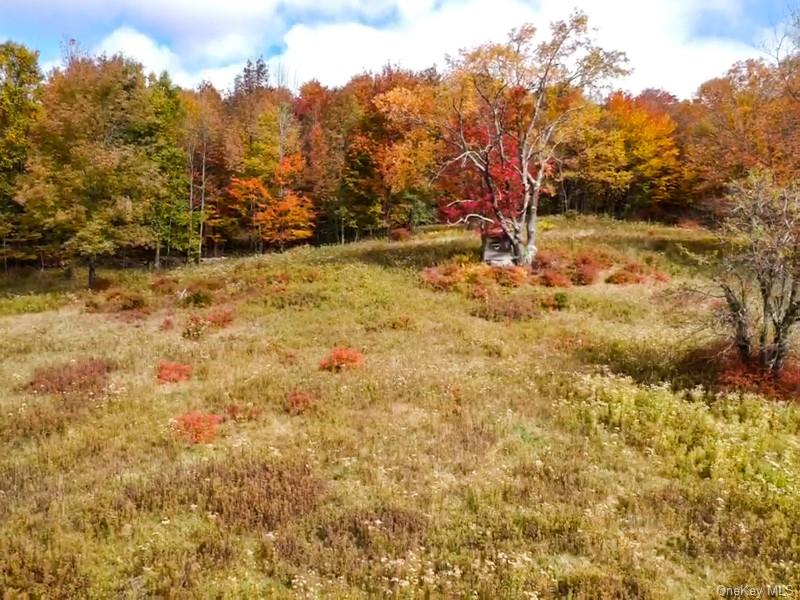 Land Debruce  Sullivan, NY 12758, MLS-H6214984-15