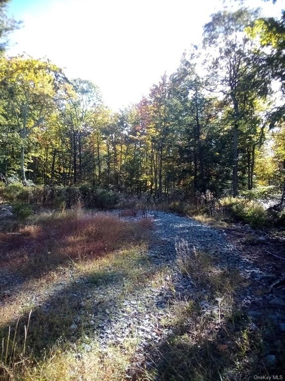 Land Mount Vernon  Sullivan, NY 12790, MLS-H6215996-15