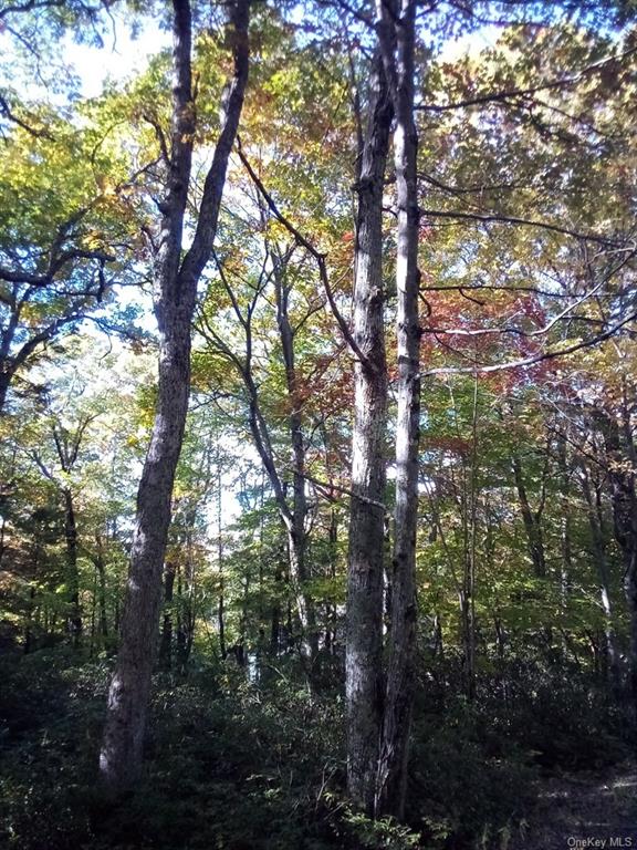 Land Mount Vernon  Sullivan, NY 12790, MLS-H6215998-15