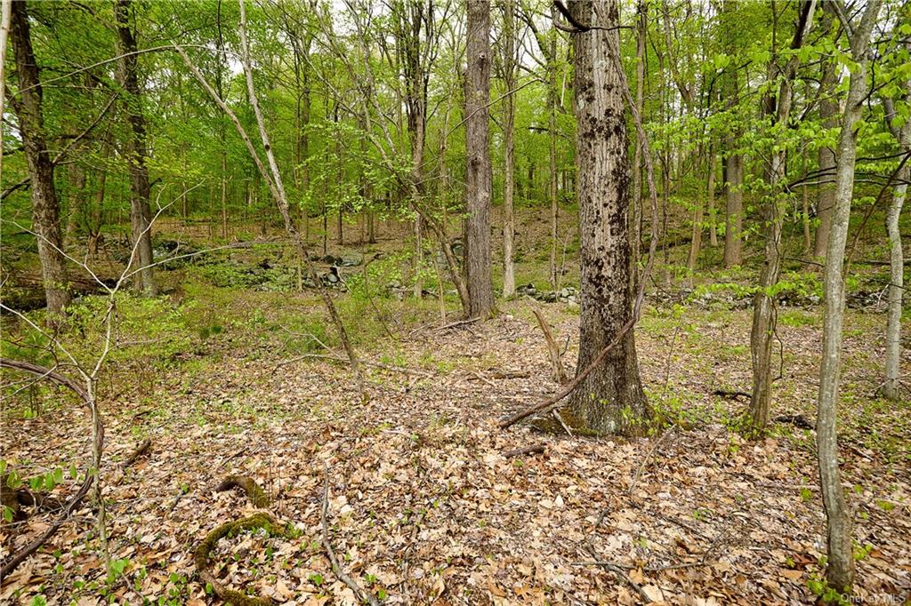 Land Pierson Lakes  Rockland, NY 10974, MLS-H6246069-16