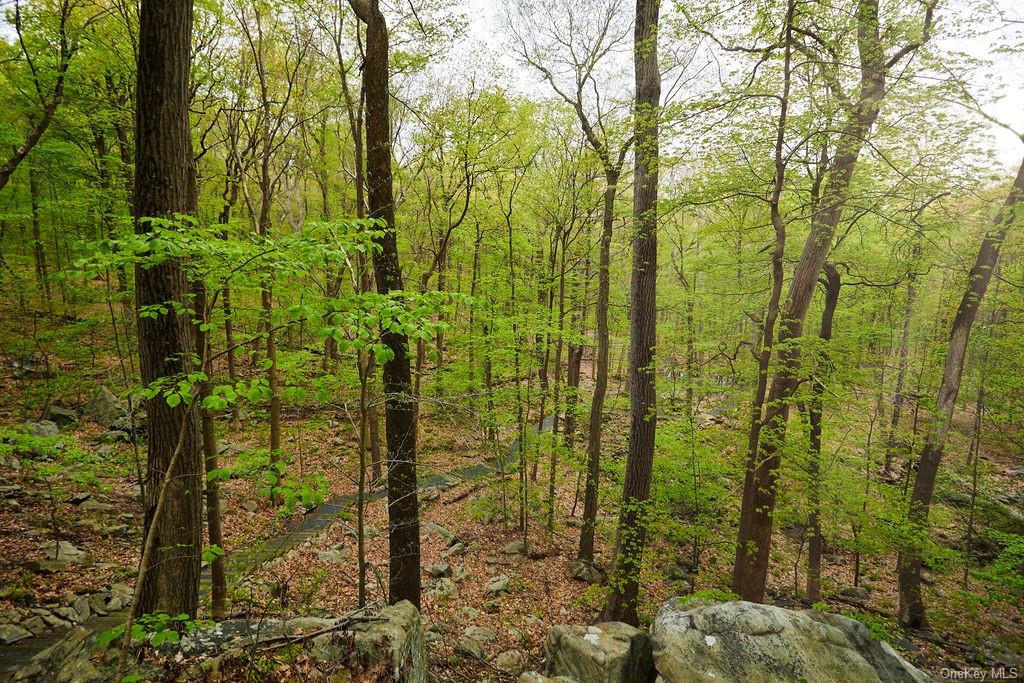 Land Springhouse  Rockland, NY 10974, MLS-H6246073-16