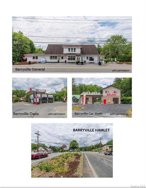 Business Opportunity State Route 97  Sullivan, NY 12719, MLS-H6252081-16