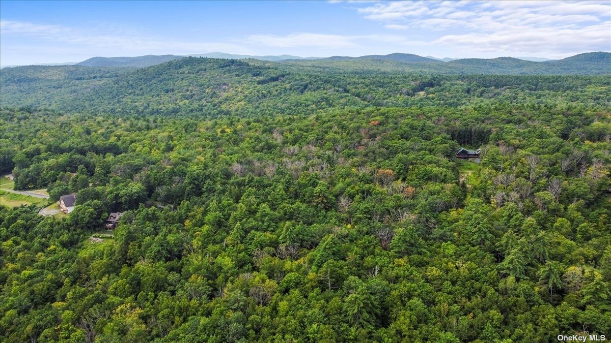 Land Longview  Out Of Area, NY 12814, MLS-3494120-16