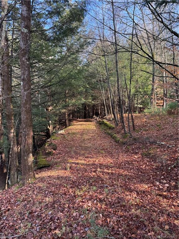 Land Tbd Clark Road Tr 21  Sullivan, NY 12733, MLS-H6280144-16