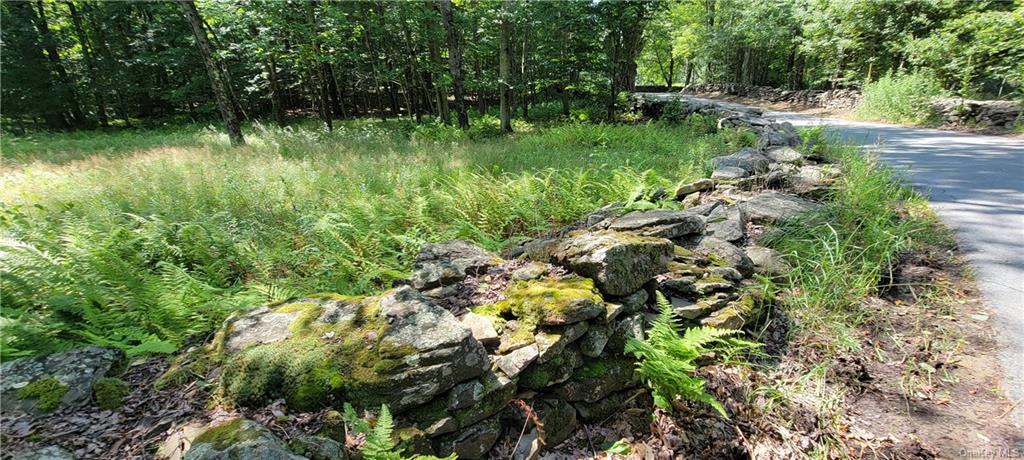 Land Westervelt  Sullivan, NY 12726, MLS-H6264186-16