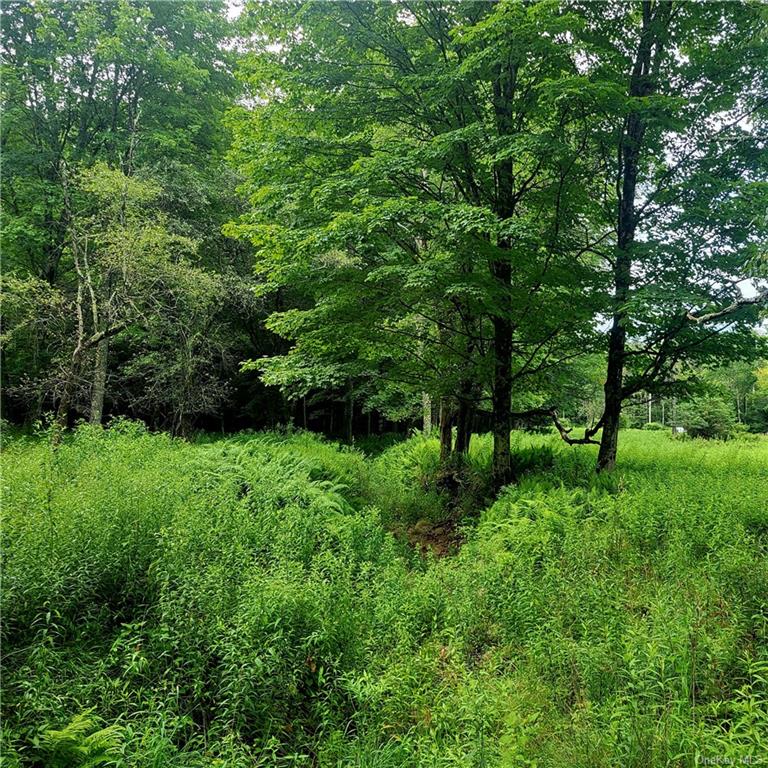 Land Schumway  Sullivan, NY 12765, MLS-H6262218-16