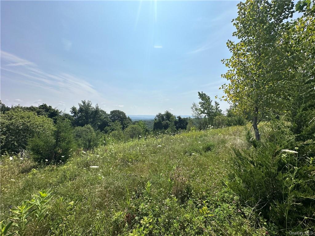 Land Truncali  Ulster, NY 12542, MLS-H6263292-16