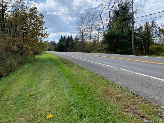 Land Route 209  Ulster, NY 12404, MLS-H6151324-16