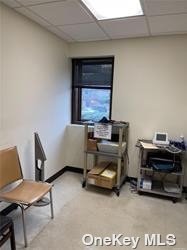 Commercial Sale Hilton Avenue  Nassau, NY 11550, MLS-3454329-16