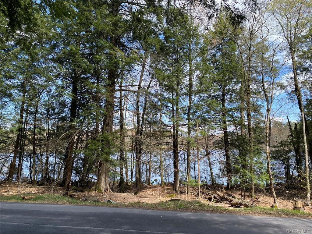 Land Lakeshore  Sullivan, NY 12778, MLS-H6202359-16