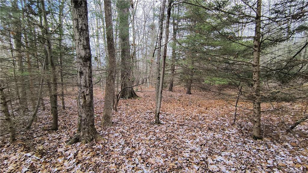 Land New Turnpike A  Sullivan, NY 12726, MLS-H6281364-16