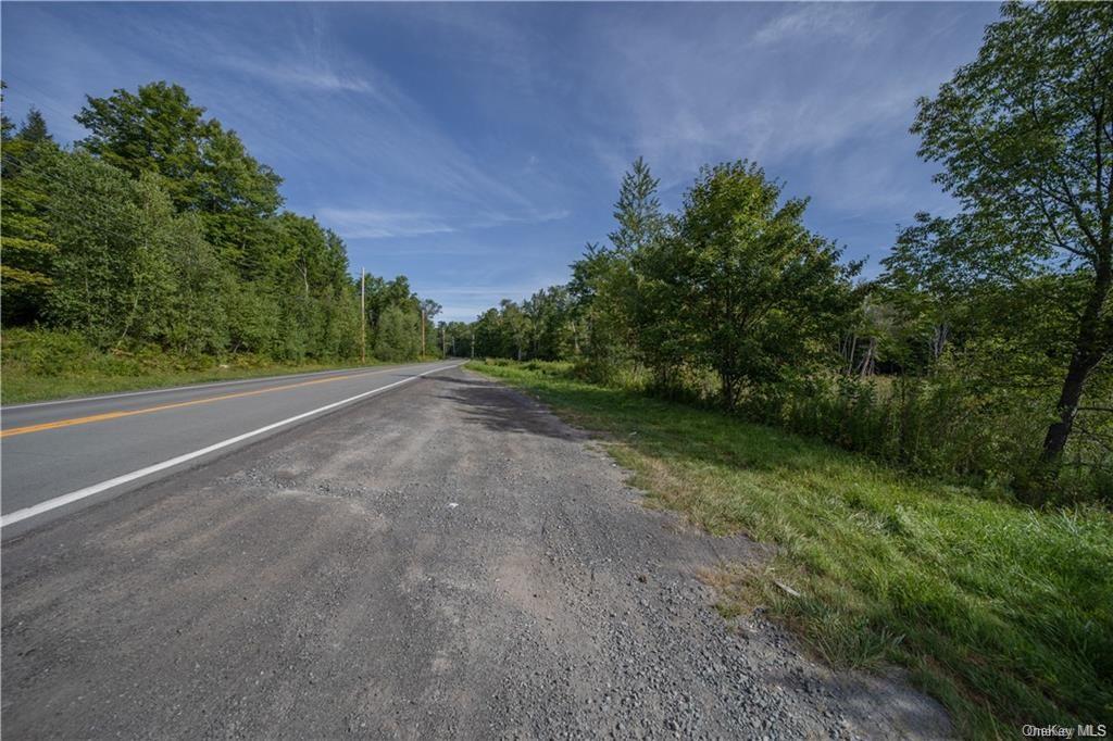 Land Heiden  Sullivan, NY 12733, MLS-H6212378-16